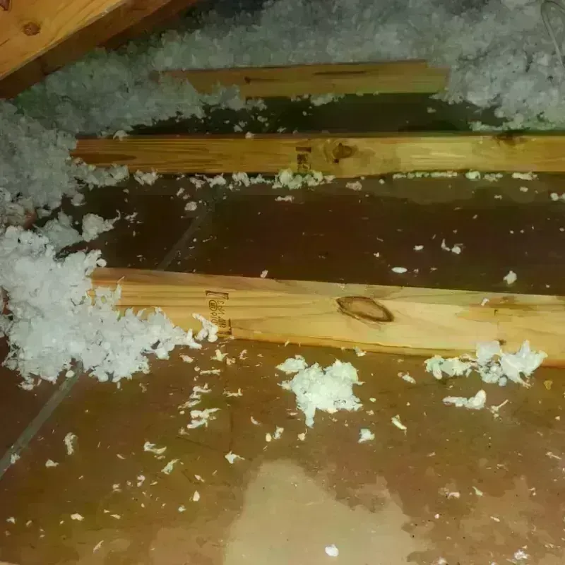 Attic Water Damage in Lincoln County, NE